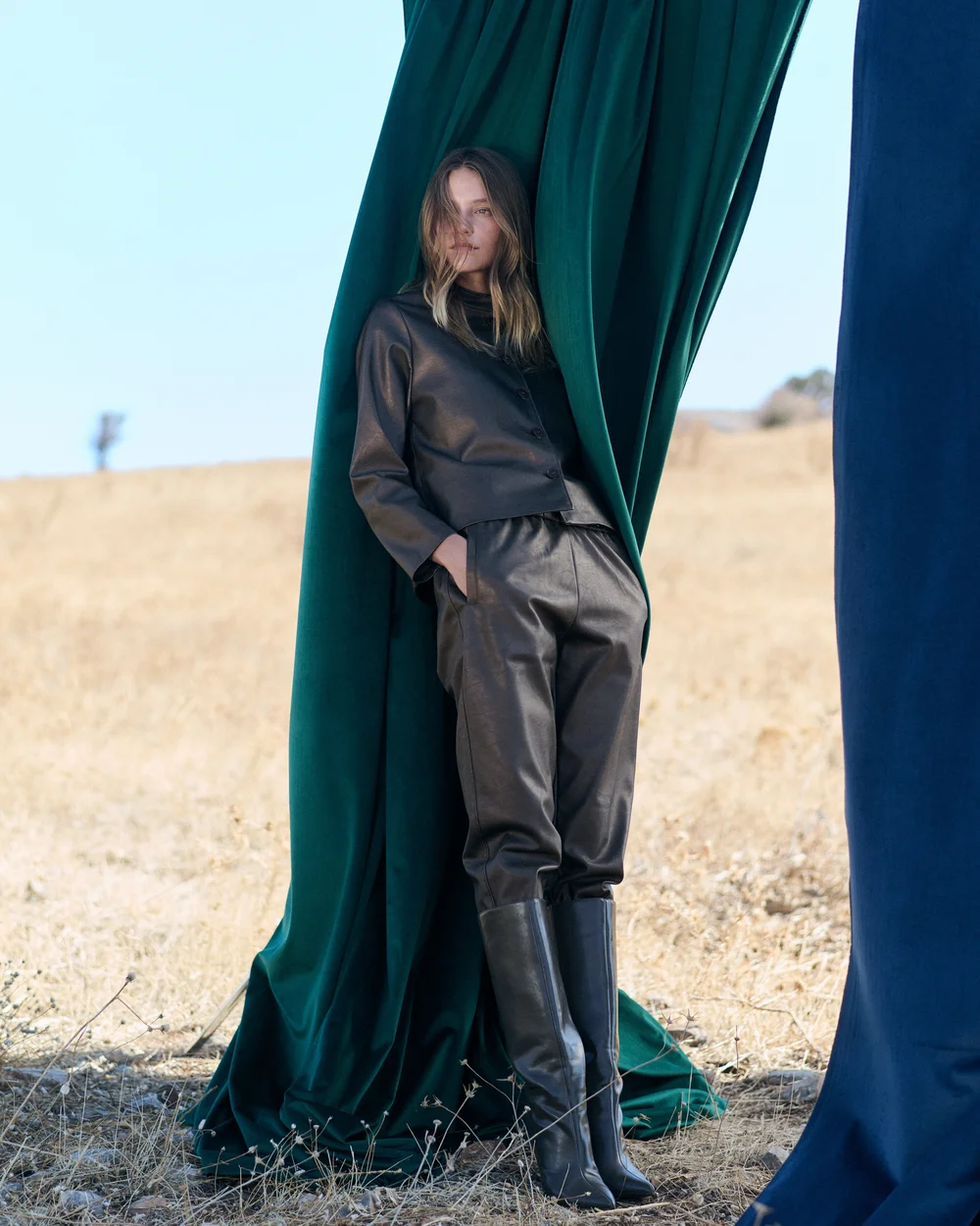 Campaign 5 2024